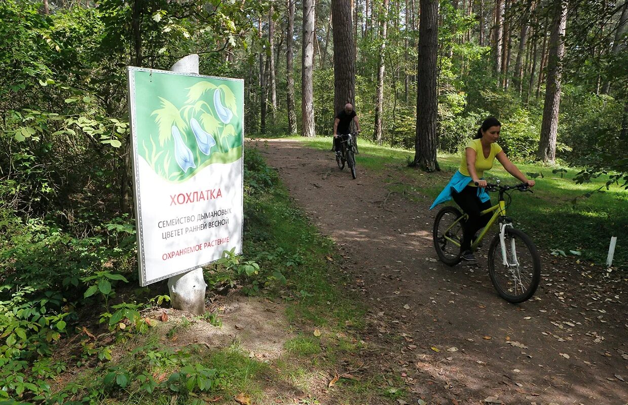 Калужский Бор памятник природы. Калужский Сосновый Бор. Калуга Бор парк. Калуга Сосновый Бор памятник. Сайт санатория калуга бор калуга