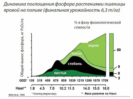 Азот поглощают или выделяют живые существа