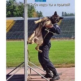 Надорваться