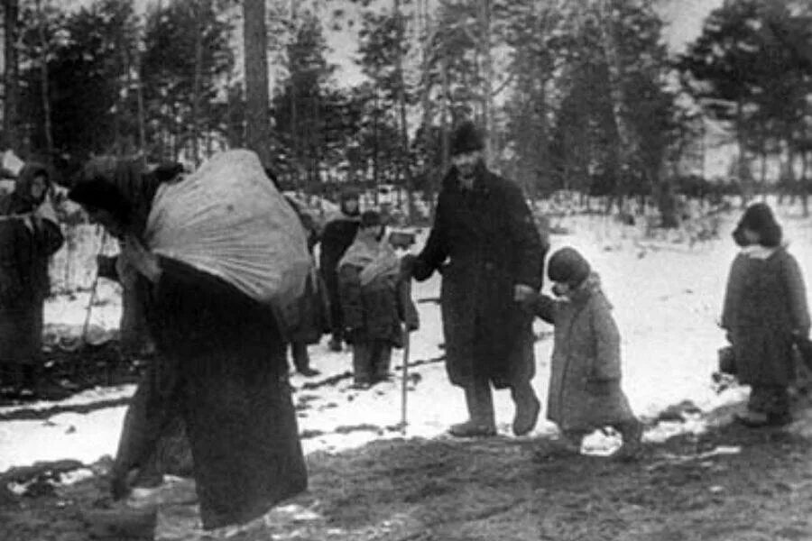 Озаричи концентрационный лагерь. Освобождение концлагеря Озаричи.