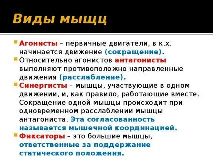 Синергисты это