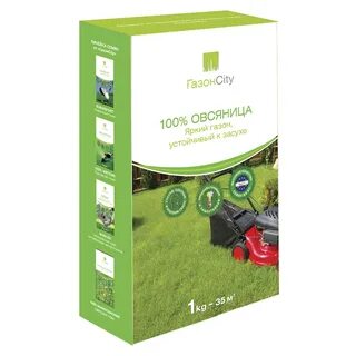 Газонная трава 1