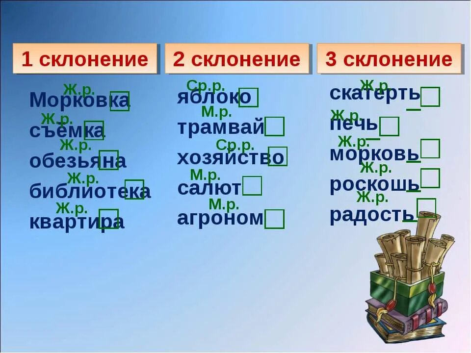 Склонение имени существительного морковь