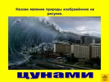 Цунами относится к природным явлениям