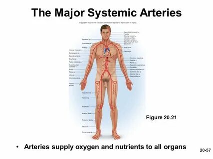Major system