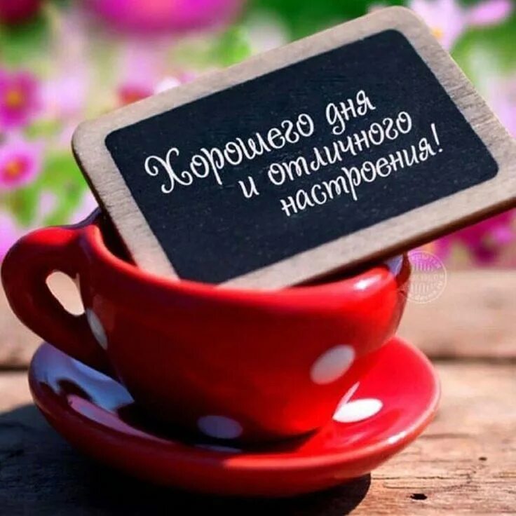206 отметок "Нравится", 3 комментариев - Наталья Попова (@popova2972) в Instagra