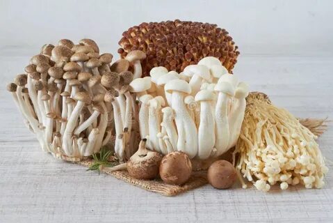 Как получить mushrooms