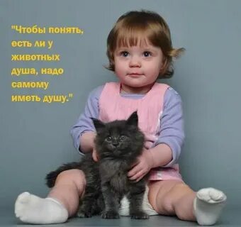 Есть ли душа у животных