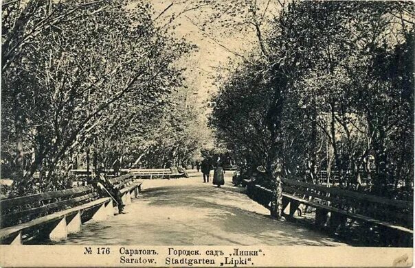 Саратовские "Липки" закрываются на две недели Новости Саратова и области - Инфор