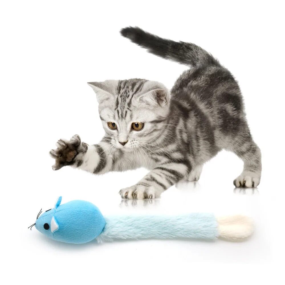 Кот играет с игрушкой. Котенок играет с хвостом. игрушка для кошек с хвостом интерактивная. забавные игрушки для кошек. кошка играет с игрушкой.