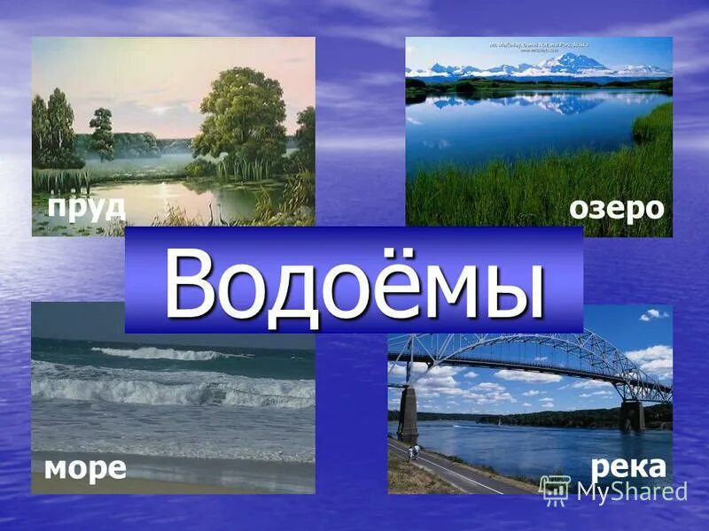 Виды водоемов. Презентация окружающий мир водоемы. Презентация окружающий мир водоемы. Водоемы 3 класс окружающий мир. Презентация на тему водоемы.