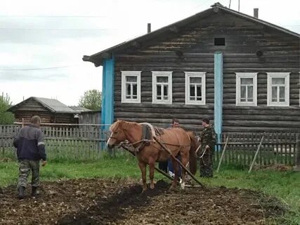 Почему хорошо жить в селе