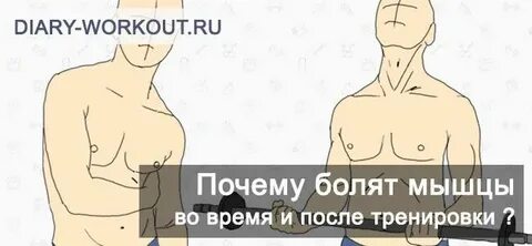Мышцы после тренировки болят как снять боль