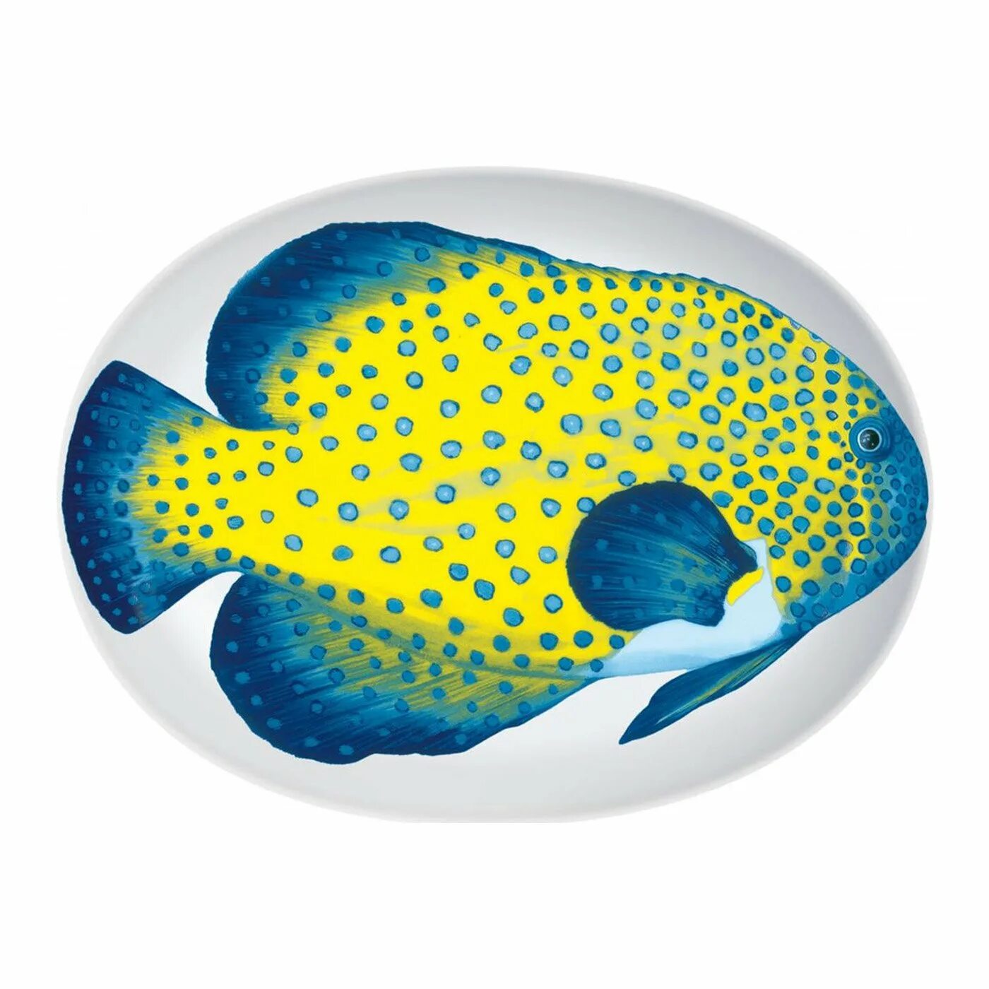 Рыба солея европейская. Золотоспинный хирург acanthurus nigricans. Овальная рыба. Овальная рыба. Овальная рыба.