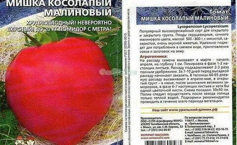 Томаты мишка косолапый отзывы фото