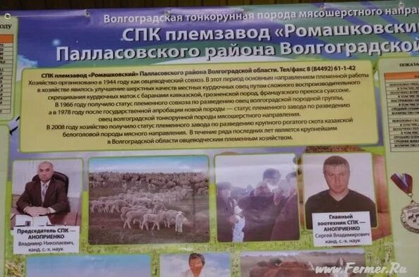 Спк какие документы. Спк племзавод ромашковский.