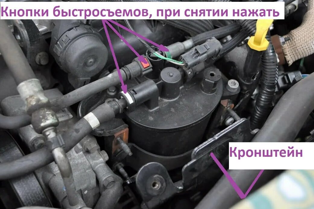 Топливный фильтр фрилендер 2 2. Топливный фильтр фрилендер. Замена топливного фильтра фрилендер 2 2. Топливный фильтр purflux freelander 2. Топливный фильтр purflux freelander 2.