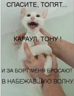 Спасай быстро