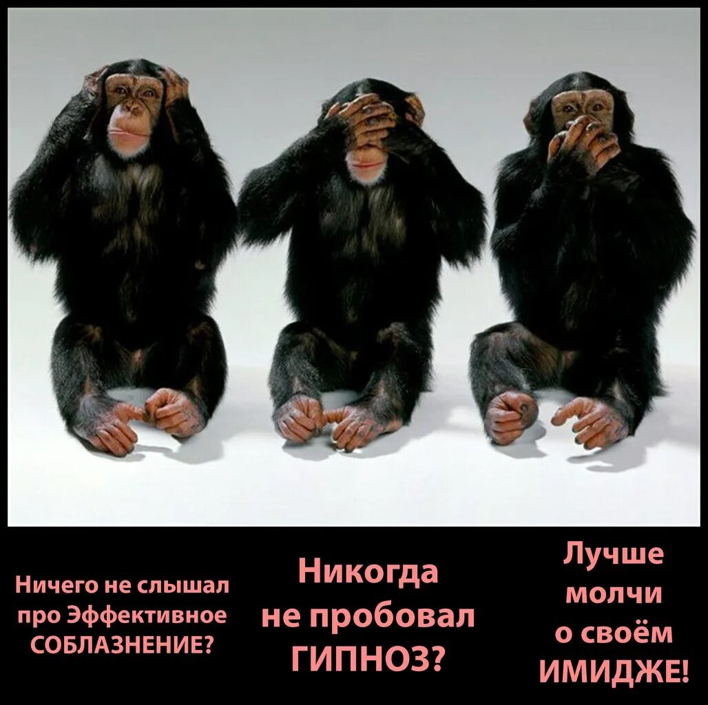 Не вижу ничего сложного. Обезьянка чичичи продавала кирпичи стих. Не вижу не слышу. Три Мудрые обезьяны. Ничего не вижу ничего не слышу.