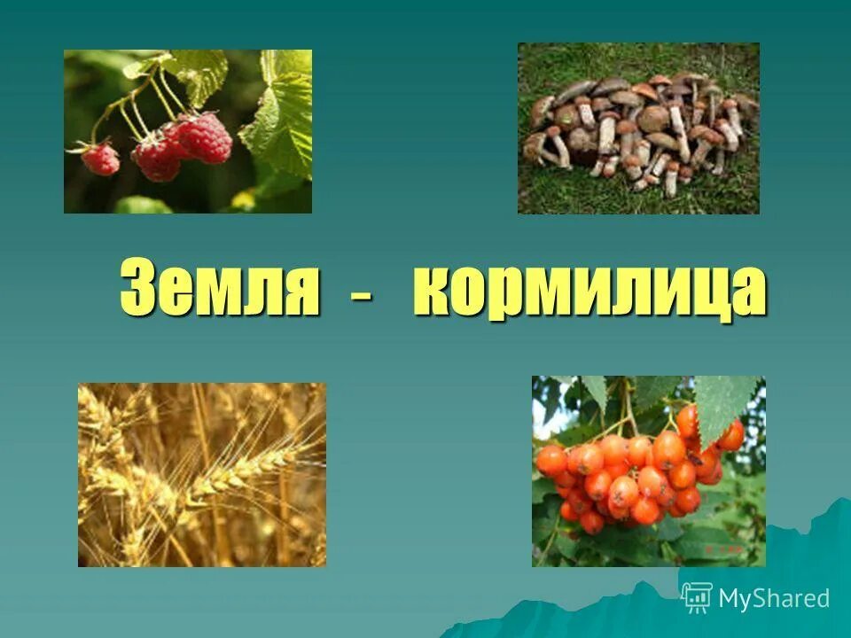 Сообщение на тему земля кормилица 4 класс. Земля кормилица. земля кормилица презентация. земля наша кормилица. почва наша кормилица.