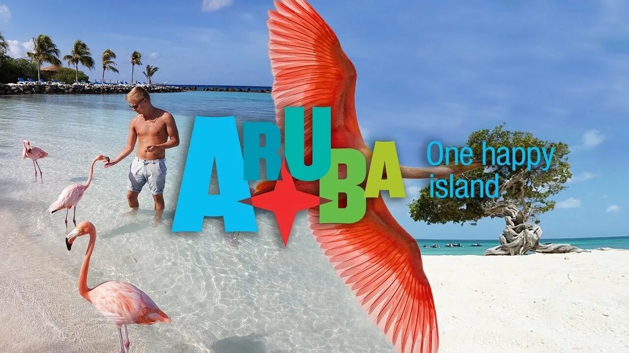 Happy island. One Happy Island Aruba. Остров Фламинго Куба. Кюрасао Фламинго.