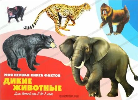 Дикие животные книги