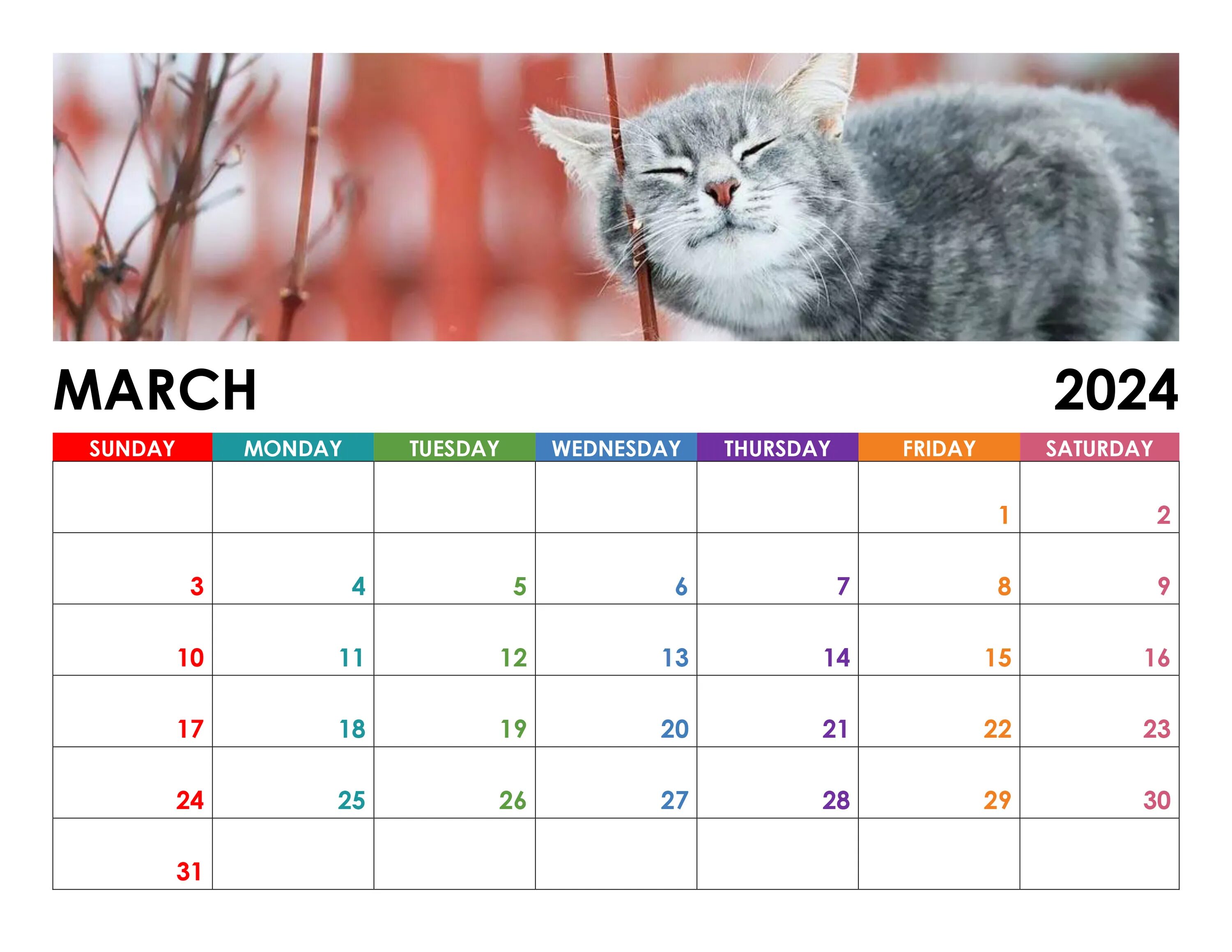 Мать 2023. Март 2023. Календарь март 2023. Март 2024. Включи календарь на март