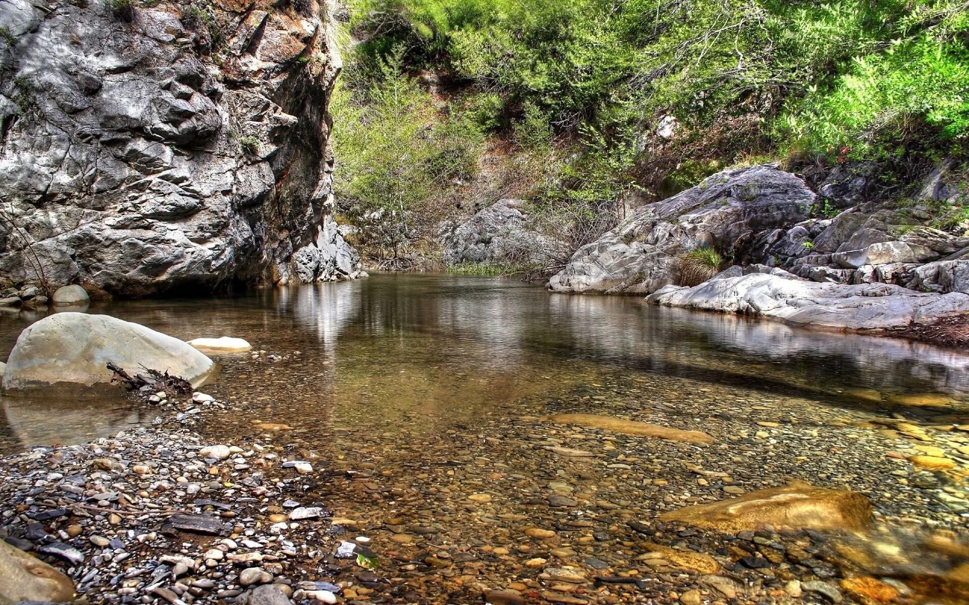 Stone river. Горный ручей Приморский край. Сочи река белый ручей. Река Репруа. Каменистая река Краснодарский край.