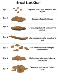 What does your Poo look like? 