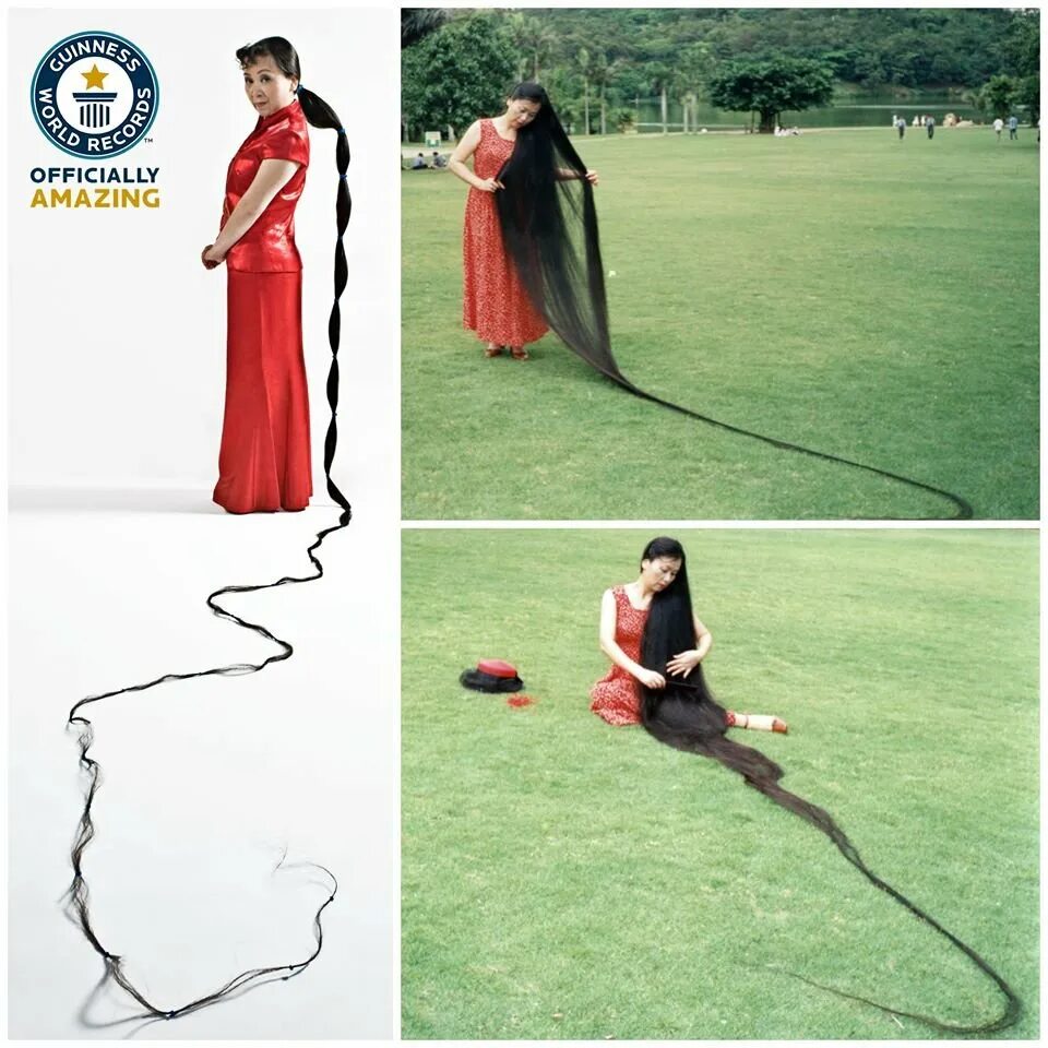 Самые длинные волосы в мире рекорд гиннесса. Аша мандела черная рапунцель. Длинные волосы рекорд гиннесса. Длинные волосы аша мандела. Аша мандела черная рапунцель.