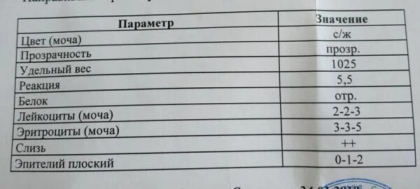 Слизь в анализе мочи. Слизь в анализе мочи у ребенка. Исследование мочи норма слизь. Норма слизи в моче у женщин. Слизь в моче плюс