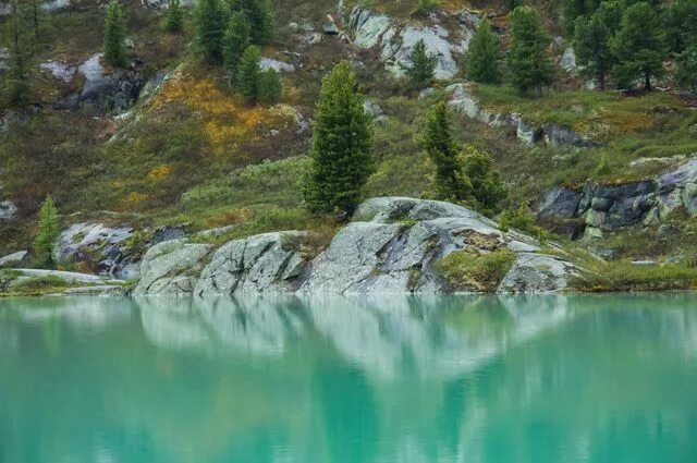 Аламбай Алтайский край. Река Аламбай. Ченита Алтайский край. Озеро Аламбай. Окружающая среда алтайского края