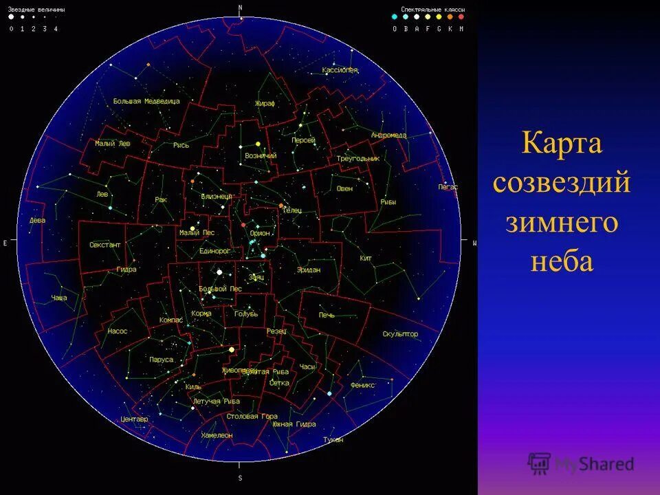 Какие созвездия зимой можно увидеть на небе. Созвездия зимнего неба. Летнее звездное небо созвездия. Весенние созвездия. Созвездия которые видно летом.