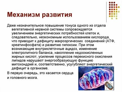 Повышение тонуса нервной системы