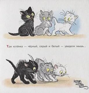 Три котенка черный рыжий и белый