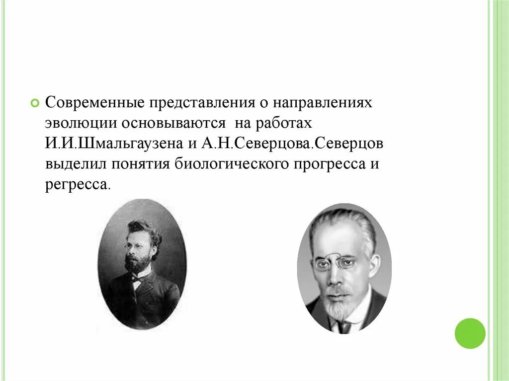 Закономерности направления эволюции. Шмальгаузен теория. Шмальгаузен синтетическая теория эволюции. Северцов вклад в биологию. Четвериков синтетическая теория эволюции.