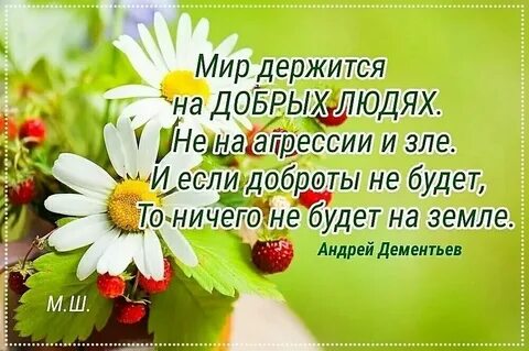 Новости про добро