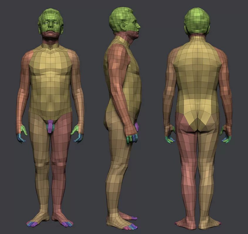 Создание 3д людей. Низкополигональная модель человека. 3d модель человека. Компьютерная модель человека. Моделька человека.
