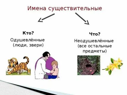 Стая неодушевленное