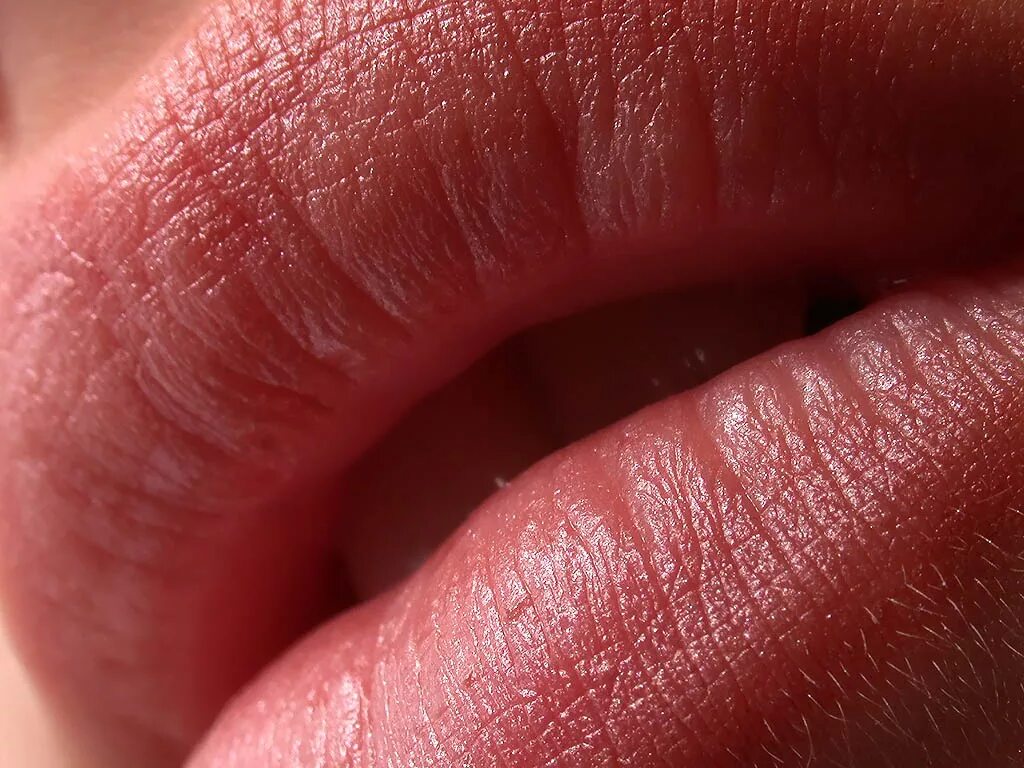 Close lips. Женские губы. Красивые губы. Губы крупным планом. Губы Макросъемка.