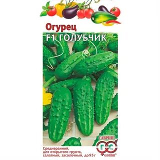 Сорт огурцов реванш