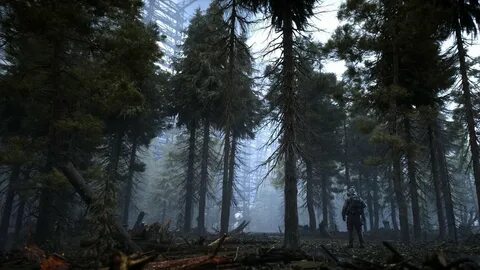 Сталкеры 2021 года