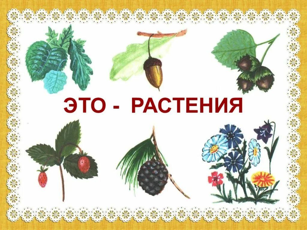 Назови одним словом. Обобща.щие понятия для детей. Обобщающие карточки для детей. Назови одним словом для дошкольников.