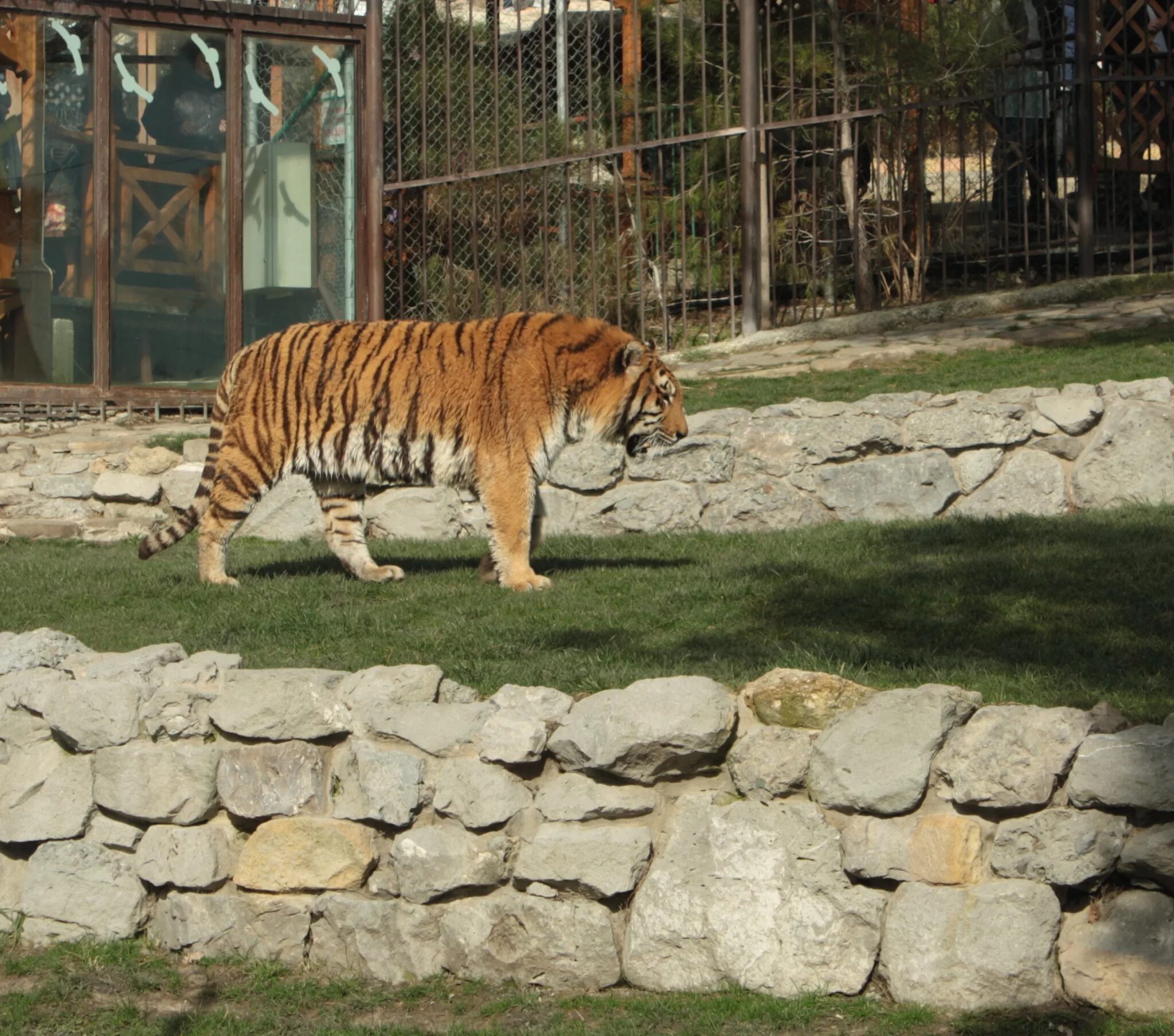 Zoo animals park. Солнечный остров Краснодар сафари парк. Солнечный остров Краснодар зоопарк. Краснодарский зоопарк сафари-парк. Парк Солнечный остров Краснодар зоопарк.