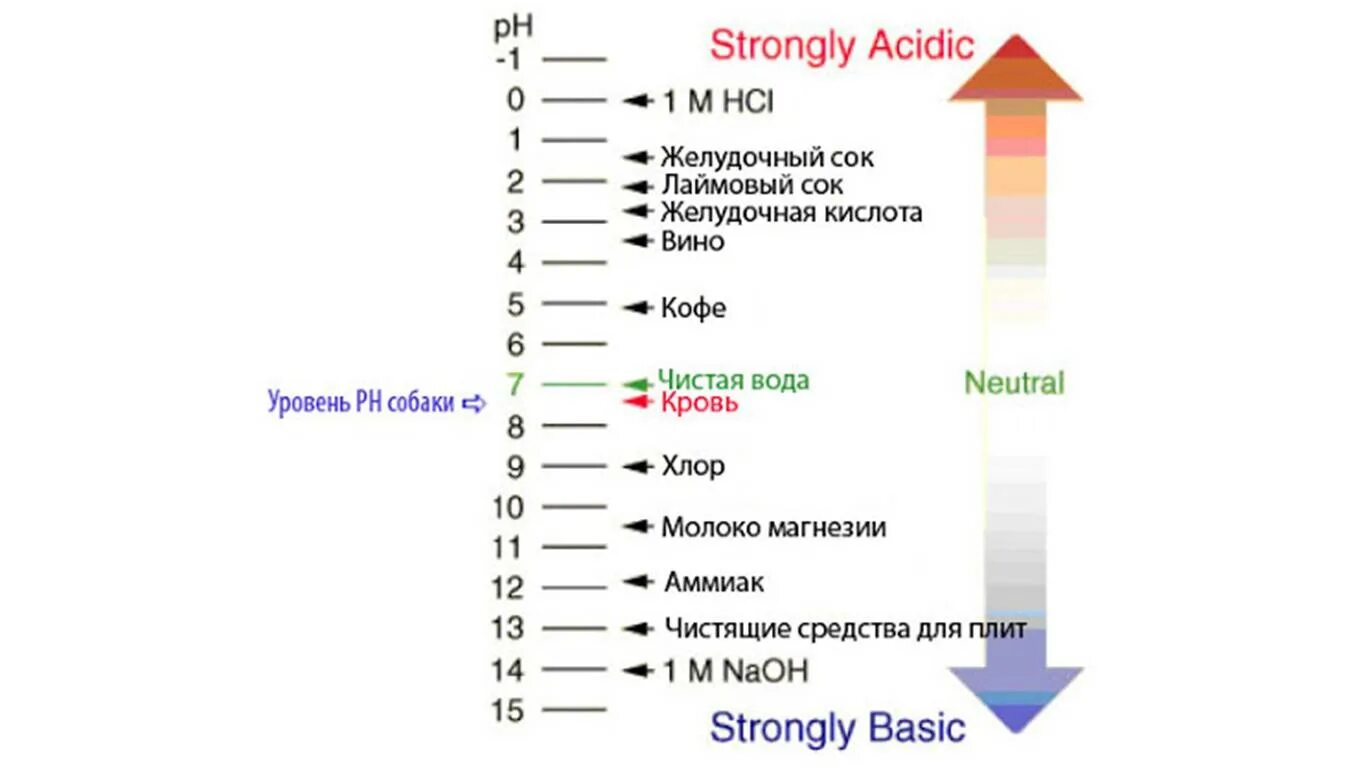 Шкала PH кожи. Шкала кислотности PH кожи. Уровень PH кожи головы. Уровень PH кожи человека. Кислотность кожи