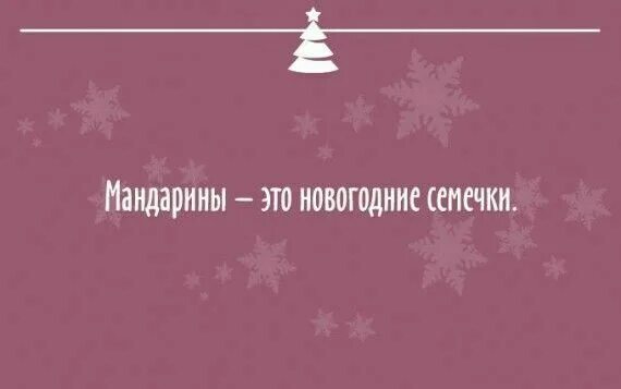 Цитаты про новогоднее настроение и волшебство. Новогодние цитаты. смешные фразы про новый год короткие. цитаты про новый год. афоризмы про новый год.