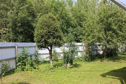 Дача снт родники