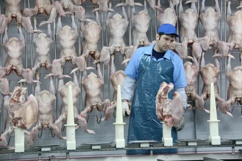Омская птицефабрика