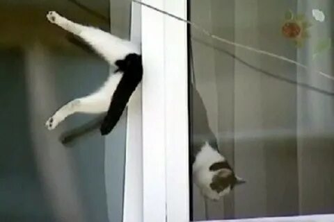 Прошел мимо окон