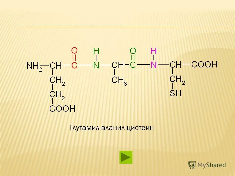 глицил аланил аланил. Nh2 cooh. Nh2 cooh. Nh2ch2cooh дипептид. Nh2 cooh.